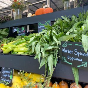 Entérate de diversos recursos gracias a Bounty and Soul