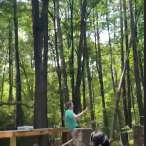 Una visita especial al centro de aves rapaces